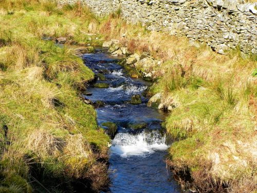 33.-Flowing-below-Hoccombe-Hill-2