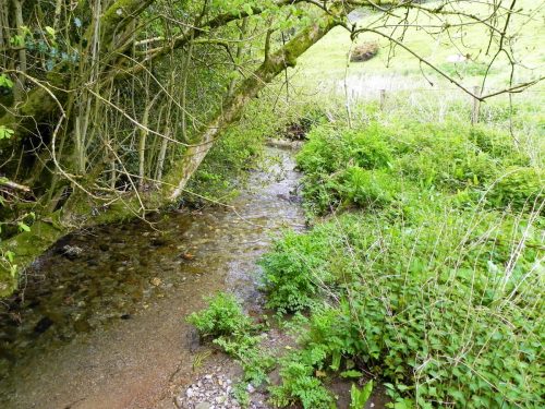33.-Flowing-below-Parsons-Close-Plantation-4