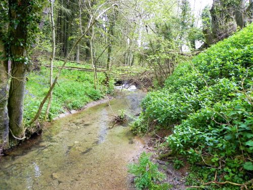33.-Flowing-below-Parsons-Close-Plantation-5