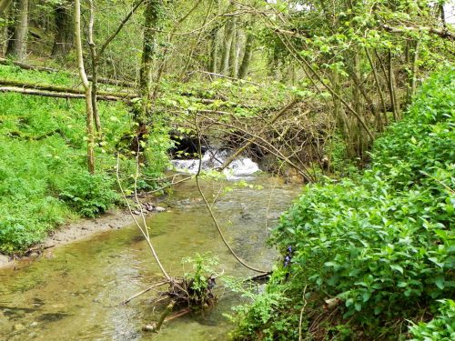 33.-Flowing-below-Parsons-Close-Plantation-6