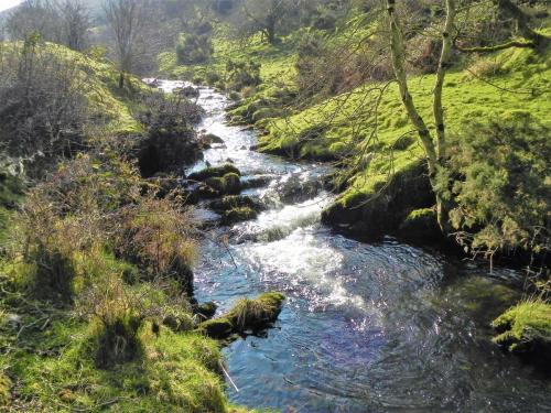 33.-Flowing-below-Stowey-Ridge-2