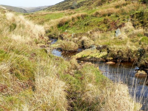 33.-Flowing-between-Hoar-Oak-Hill-and-Exe-Plain-2