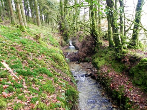 33.-Flowing-through-Beatland-Plantation-2