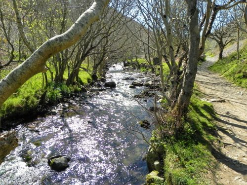 33.-Flowing-through-Heddons-Mouth-Cleave-2
