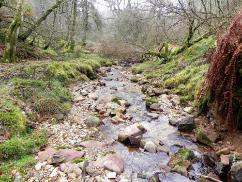 33.-Flowing-through-Mansley-Combe-2