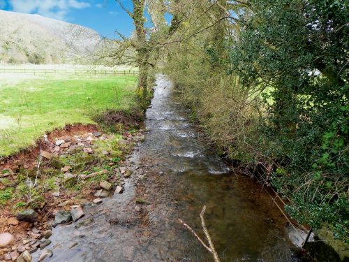 33.-Looking-downstream-from-Cow-Bridge-2