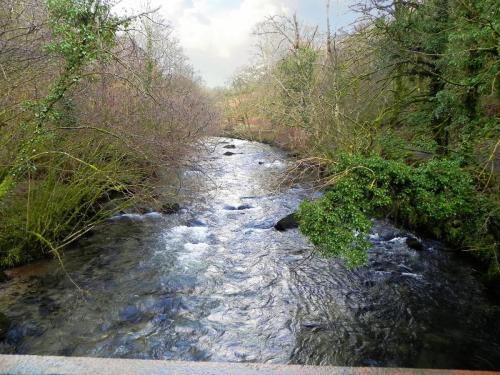33.-Looking-downstream-from-Great-Wood-Footbridge-2