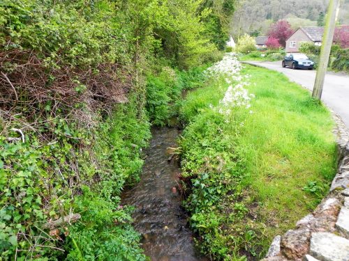 33.-Looking-downstream-from-Mill-Lane-Bridge-2