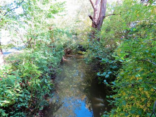 33.-Looking-downstream-from-Mill-Stream-bus-station-footbridge-2