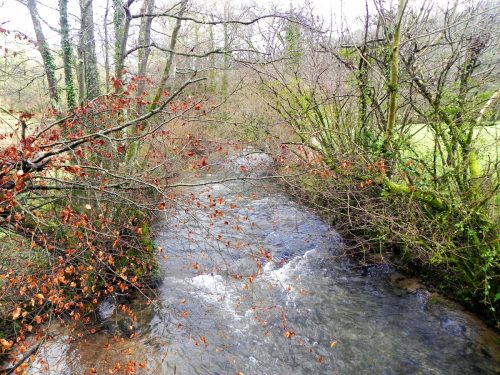 33.-Looking-upstream-from-Dyehouse-Bridge-2