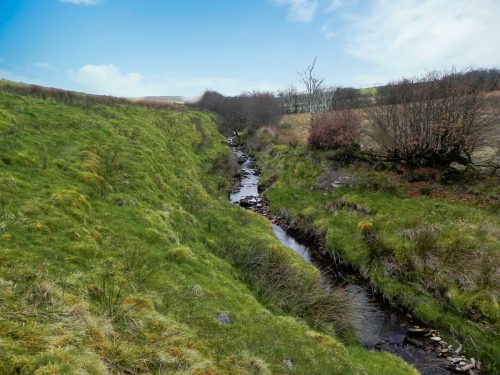 33.-Looking-upstream-from-Twitchen-Ridge-2
