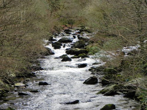 33.-Looking-upstream-from-Woodside-Bridge-2