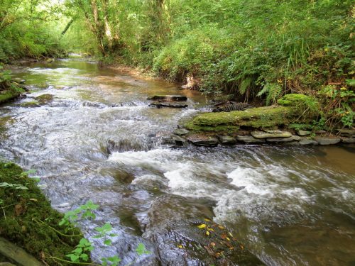 33.-Tracebridge-saw-mill-weir-2