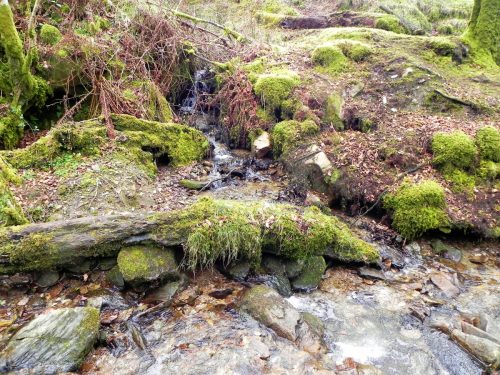 33.-Tributary-stream-joins-from-the-south-2