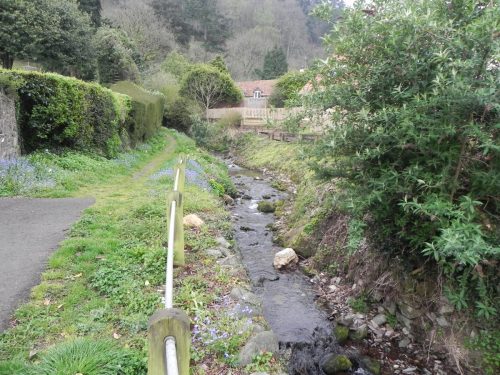 33.-Upstream-from-Hawkcombe-Cemetery-Bridge