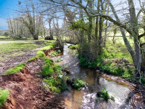 33.-Upstream-from-Holnicote-House-Footbridge-2