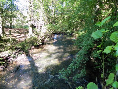 33.-Upstream-from-Huish-Bridge-2