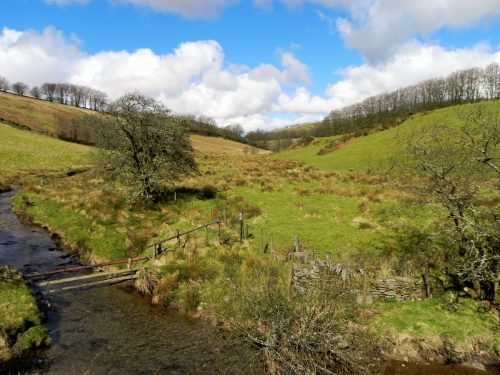 33.-Upstream-from-Sherdon-Cottage-2