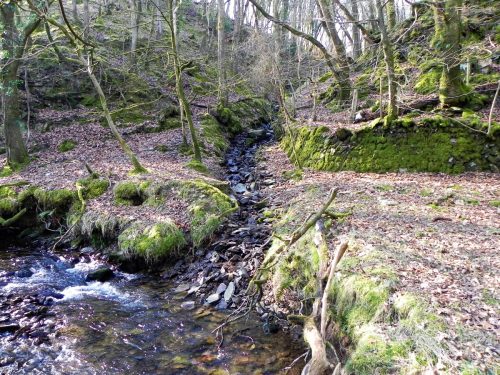 33.-Upstream-from-Smallcombe-Bridge-2