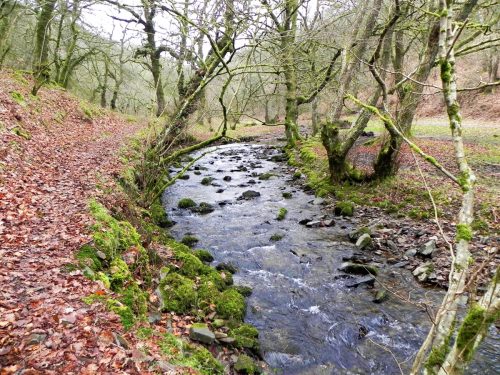 33.-upstream-from-Pool-Bridge-2