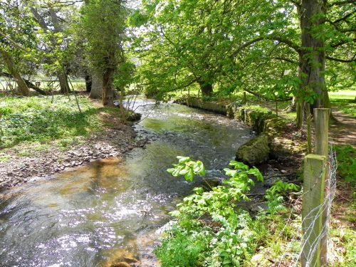 34.-Downstream-from-Dunster-Castle-2