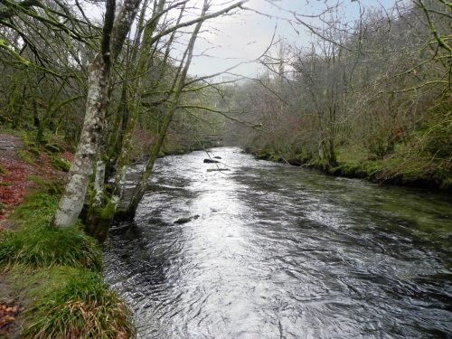 34.-Downstream-from-Great-Wood-Footbridge-2