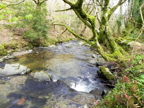 34.-Downstream-from-Heddon-Valley-Mill-2