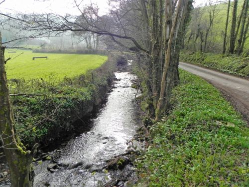 34.-Downstream-from-Steart-2
