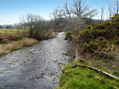 34.-Downstream-from-Strong-Ford-2