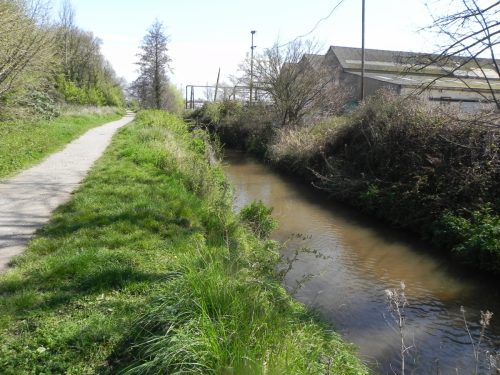 34.-Flowing-alongside-the-West-Somerset-Mineral-Railway-footpath