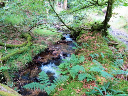 34.-Flowing-below-Beaters-Rocks-2