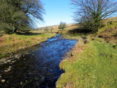 34.-Flowing-below-Furzehill-Common-2