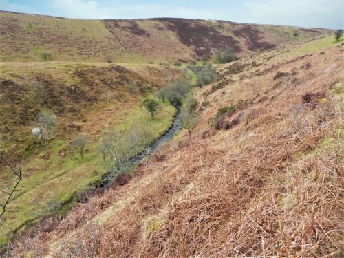 34.-Flowing-below-Pig-Hill-2
