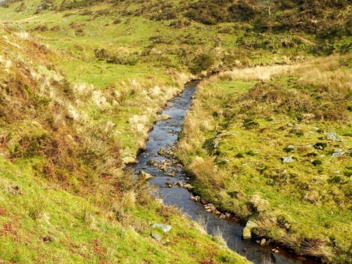 34.-Flowing-between-Hoar-Oak-Hill-and-Exe-Plain-2