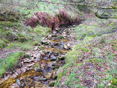 34.-Flowing-through-Mansley-Combe-2