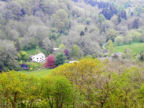 34.-Looking-down-to-Comberow-from-Forehill-Wood-4 (1)