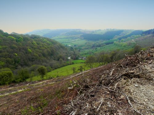 34.-Looking-down-to-Comberow-from-Forehill-Wood-5 (1)