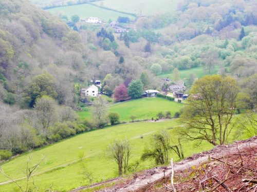 34.-Looking-down-to-Comberow-from-Forehill-Wood-6 (1)