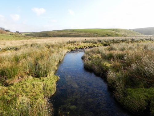 34.-Looking-downstream-from-ROW-Bridge-3490-2