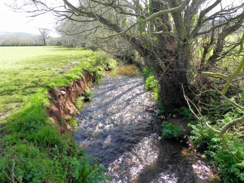 34.-Looking-upstream-from-Holnicote-House-Footbridge-2