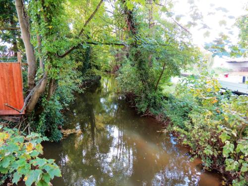 34.-Looking-upstream-from-Mill-Stream-Castle-footbridge-2