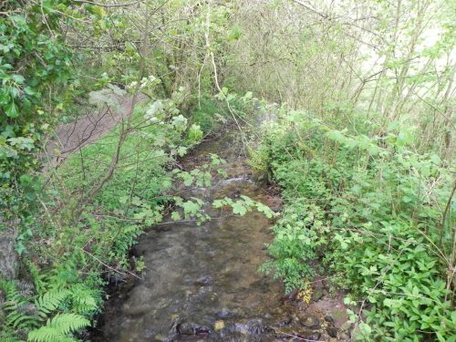 34.-Looking-upstream-from-ROW-footbridge-2808