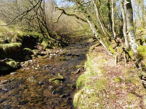 34.-Stream-from-Molland-Common-flowing-to-join-Danes-Brook-2