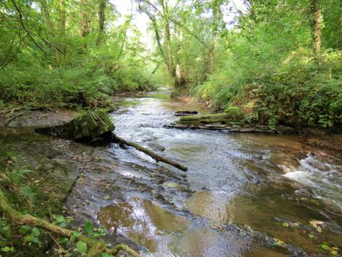 34.-Tracebridge-saw-mill-weir-2