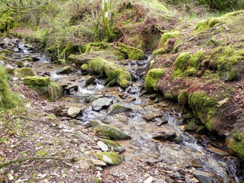 34.-Tributary-stream-joins-from-the-south-2