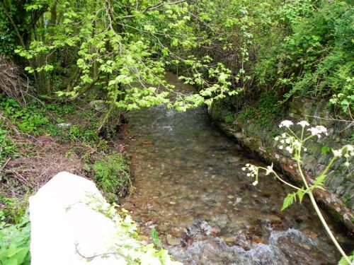 34.-Upstream-from-Roadwater-Bridge-2
