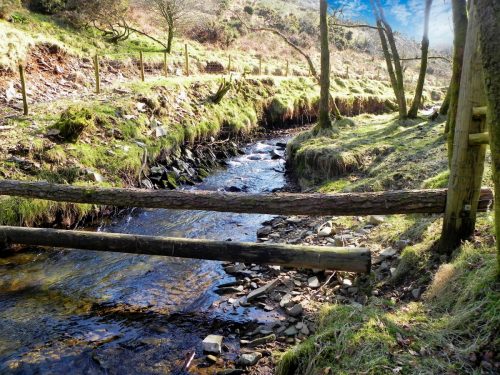 34.-Upstream-from-Smallcombe-Bridge-2