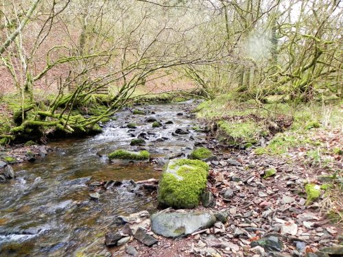 34.-upstream-from-Pool-Bridge-2