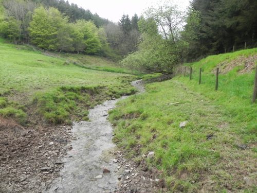 35-Flowing-through-Hazery-Plantation-2
