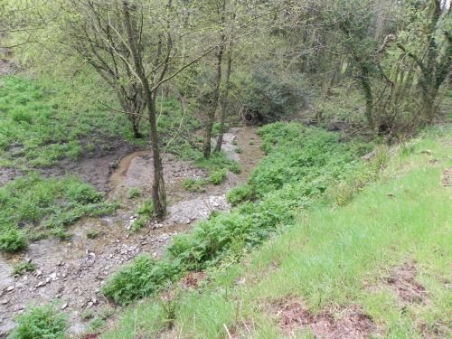 35-Flowing-through-Hazery-Plantation-3